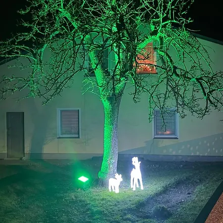 Ferienwohnung